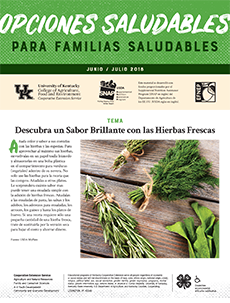 June / July 2018 Healthy Choices Newsletter Spanish