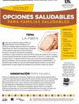 2013 February / March Healthy Choices Newsletter in Spanish