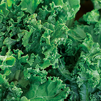 Kale and Cauliflower Salad