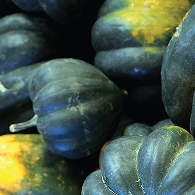 Twice Baked Acorn Squash